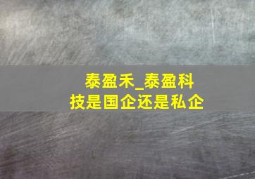 泰盈禾_泰盈科技是国企还是私企