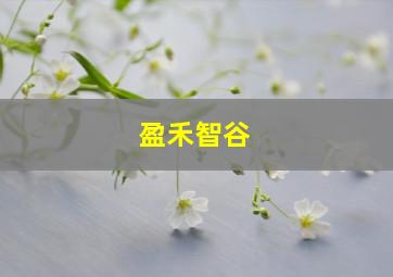 盈禾智谷