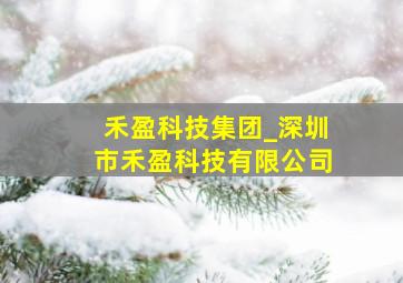 禾盈科技集团_深圳市禾盈科技有限公司